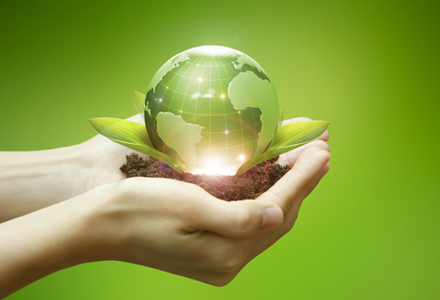 Environmental Management