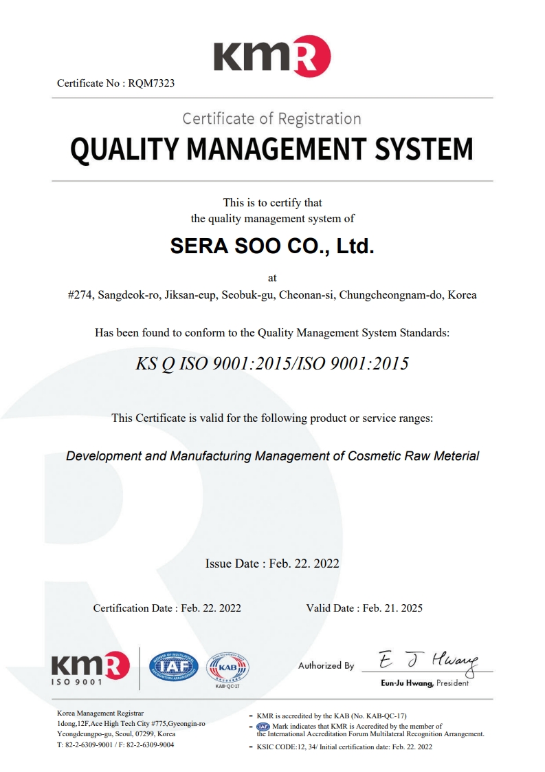 ISO 9001
